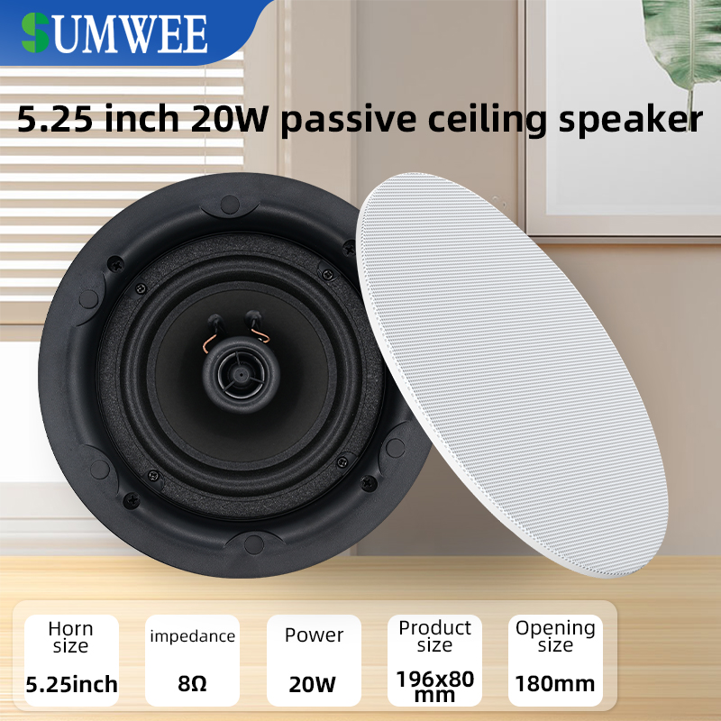 5.25 inch 8 ohm Ceiling Speake - Audio Music Background recension och pris